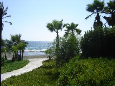 a path leading to a beach with palm trees at Sunny Garden Limassol Star in Limassol