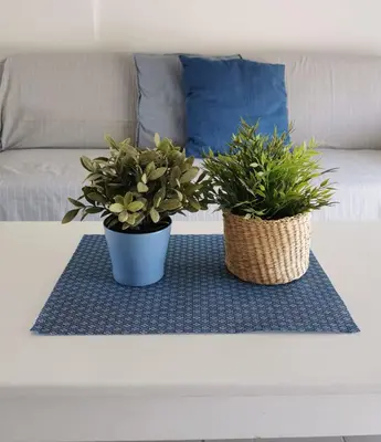 two potted plants sitting on a rug in front of a couch at Nostalgia apts in Limassol