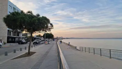 a sidewalk next to a body of water with a tree at Serenity by the sea in Larnaka