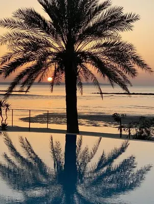 a palm tree reflecting in the water at sunset at Lebay Beach Hotel in Larnaka