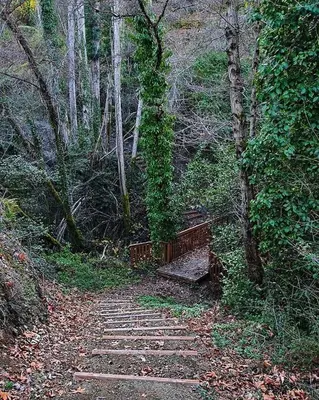 a stone path in the woods with a bench on it at Gold Mountain House in Moutoullas