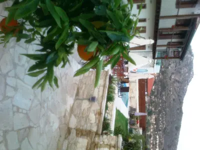 a view of a building with plants on it at Charalambos Holiday Cottage in Kalavasos