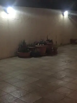 a room with potted plants on a wall with lights at Artemis House in Limassol