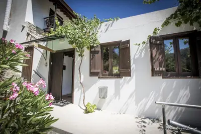 a white house with windows and a tree at Ambelikos Traditional Agrohotel in Potamitissa