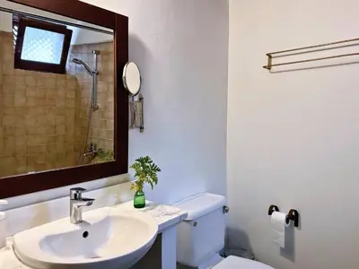 a bathroom with a sink and a toilet and a mirror at Porfyrios Country House in Chirokitia