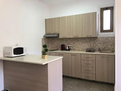 a kitchen with wooden cabinets and a microwave on a counter at Kasapis Apts in Larnaka