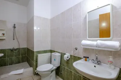 a bathroom with a toilet and a sink and a mirror at Platres Valley Houses in Platres