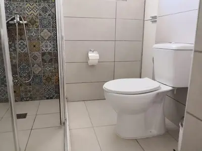 a white bathroom with a toilet and a shower at Cheerful Apartment in Nicosia in Yukarı Lakatamya