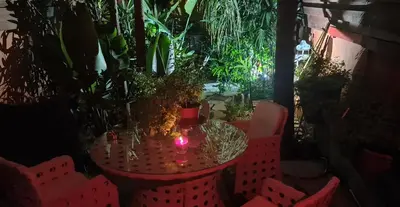 a table and chairs with plants on a patio at Petro's Antique House in Nicosia