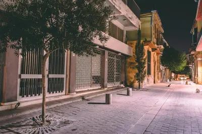 a tree sitting on a sidewalk next to a street at Cozy Flat City Center in Nicosia