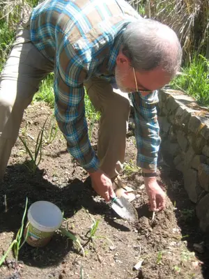 an older man bending over to pick up something in the dirt at Flora's House in Spilia