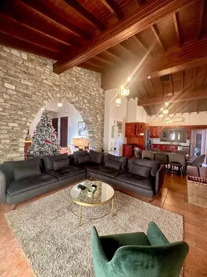 a living room with a christmas tree and a couch at Lefkara Villa in Kato Lefkara