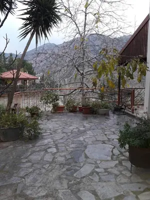 a stone courtyard with plants and a fence at Kampi Double Storey House in the Village in Nicosia