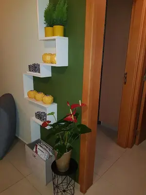 a green wall with white shelves and a plant at Ria Court 33 in Larnaka