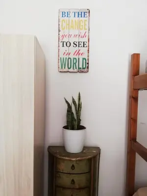 a plant on a dresser next to a wall at Swallows Nest in Larnaka