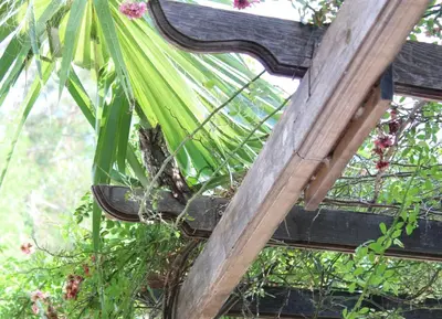 a bird sitting on top of a wooden bench at St.George's Country Retreat in Limassol