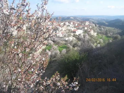 a town on top of a hill with flowering trees at Oinochori in Vouni