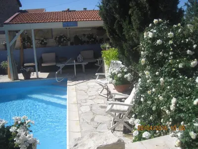 a pool with chairs and a tree next to a house at Oinochori in Vouni