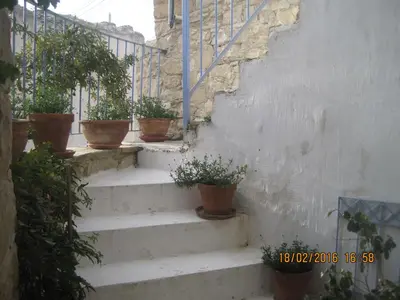 a set of stairs with potted plants on them at Oinochori in Vouni