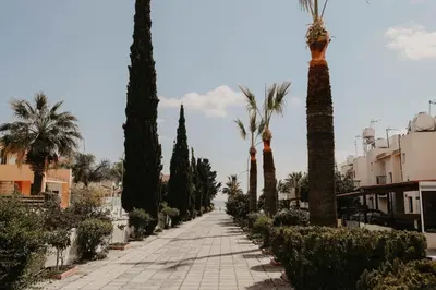 a street lined with palm trees and buildings at Pirgos beach house in Larnaka