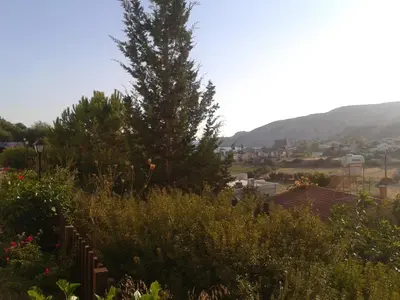 a tree on top of a hill with a city at Pelekanos Apartments in Pissouri