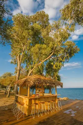 a hut on the beach with a tree at Elya Beach Luxury Suites in Ayios Theodhoros