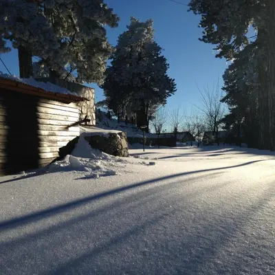 a snow covered road with a building and trees at Jubilee Hotel Troodos in Troodos