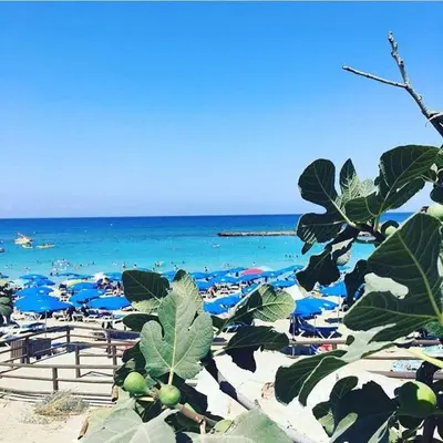 a beach with blue umbrellas and the ocean at FIG TREE GIANNIS in Protaras