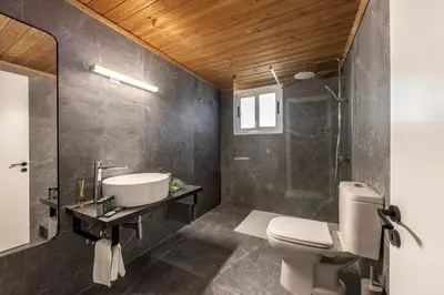 a bathroom with a toilet and a sink and a shower at Platres Forest View Cottage in Platres
