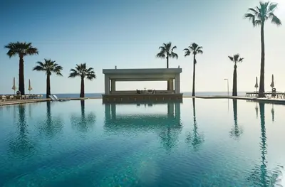 a large swimming pool with palm trees in the background at Sunrise Jade - Adults Only in Protaras