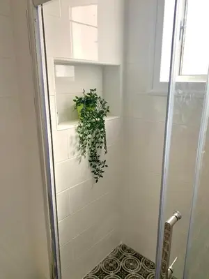 a bathroom with a shower with a plant on the wall at Nissi 3 C4 Pool View Apt in Ayia Napa