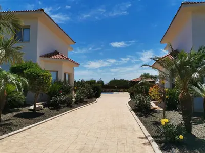 a driveway in front of a house with palm trees at Orchard Blossom Private Villa With Pool in Phrenaros