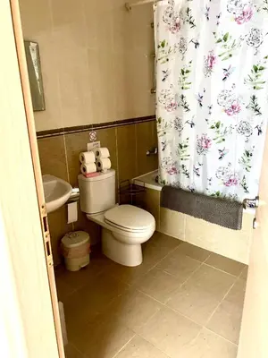 a bathroom with a toilet and a sink and a shower curtain at Nissi Elena A11 in Ayia Napa