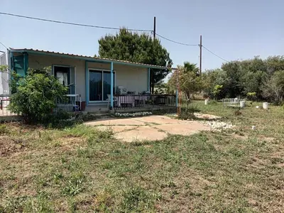 a house in a field with a yard at Mazotos beach house in Mazotos