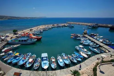a bunch of boats are docked in a harbor at Margarita Napa Apartments in Ayia Napa