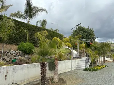 a stairway with palm trees and a retaining wall at SOFROS VALLEY HILLS CHALET in Ayios Mamas