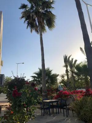 a table and chairs and palm trees and flowers at Andreotis Villas in Protaras