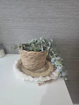 a plant in a basket sitting on a table at Lazuli Sea View Beachfront- Ap 61 in Larnaka
