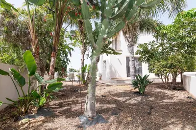a palm tree in a yard next to a house at Konnos Villa Ekaterina in Protaras