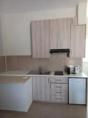a kitchen with wooden cabinets and a sink at Proteas Mare Suites in Protaras