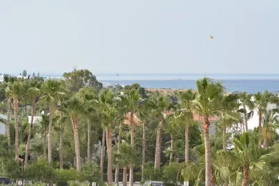 a group of palm trees with the ocean in the background at Proteas Mare Suites in Protaras