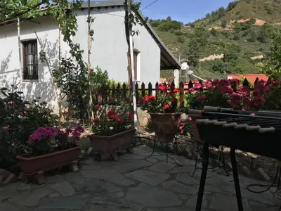 a garden with flowers in pots in front of a house at Giannoullas Luxury2Bedroom House in Kalopanagiotis in Kalopanayiotis