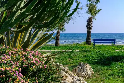 a blue bench sitting next to the ocean with flowers at Demetris apartment in Meneou