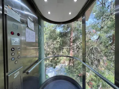 a window on a train looking out into a forest at POED Residences in Platres