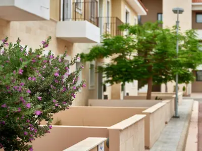 a city street with trees and flowers in front of a building at Kyklades Angie Resort in Protaras