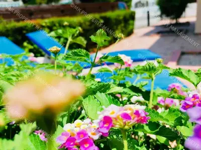 a garden with purple and white flowers and blue umbrellas at Merika Complex 1 Hou.32 in Larnaka