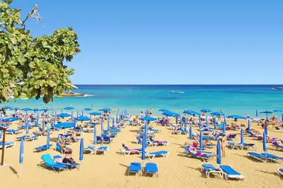 a beach filled with lots of chairs and umbrellas at Villa Mey in Protaras