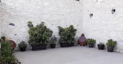 a group of potted plants against a white brick wall at Omodos Maria's Apartments in Omodos