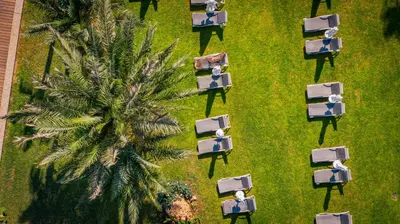 an overhead view of a palm tree and picnic tables at Infinity Blu - Designed for Adults by Louis Hotels in Protaras