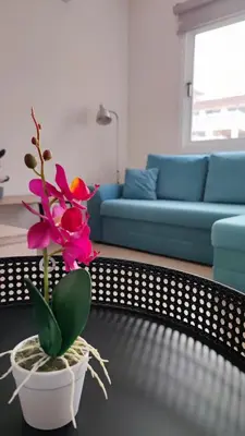a living room with a couch and a plant on a table at Lovely holiday home,Kapparis,2 swimming pools,Wifi in Paralimni